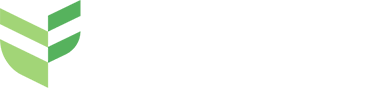 fundi
